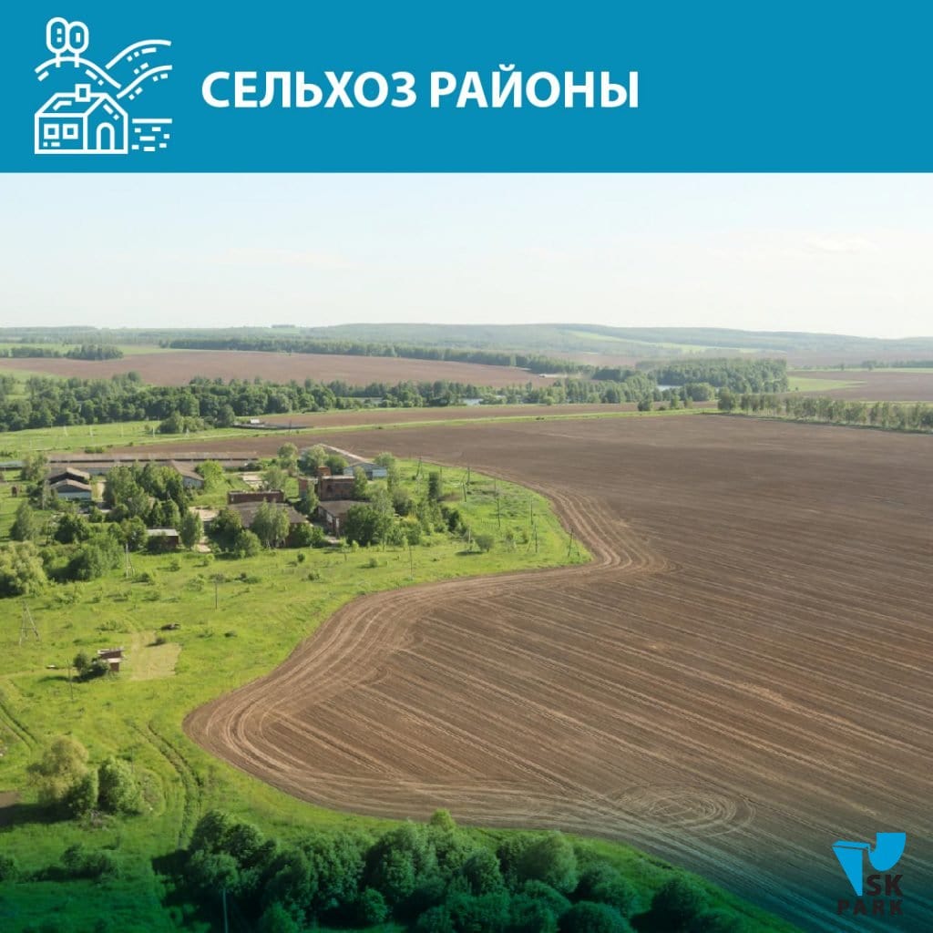 Что помогает, а что препятствует строительству скейтпарков?